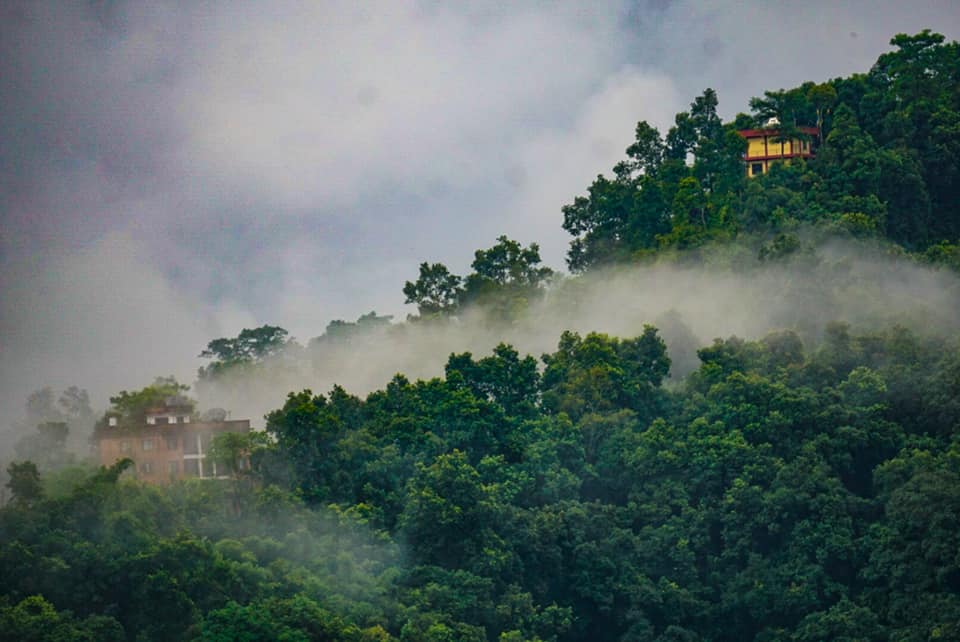 Mist settling over the hillside village of Pachabhaiya